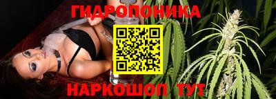 МДПВ Пенза