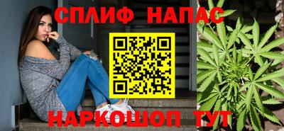 МДПВ Пенза