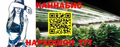 МДПВ Пенза