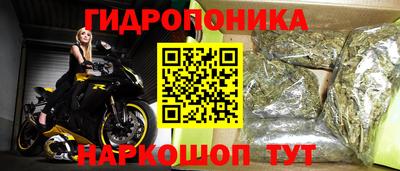 МДПВ Пенза
