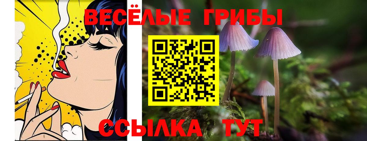 Псилоцибиновые грибы MAGIC MUSHROOMS  Галлюциногенные грибы Psilocybine cubensis  Вход с VPN  Сибай 